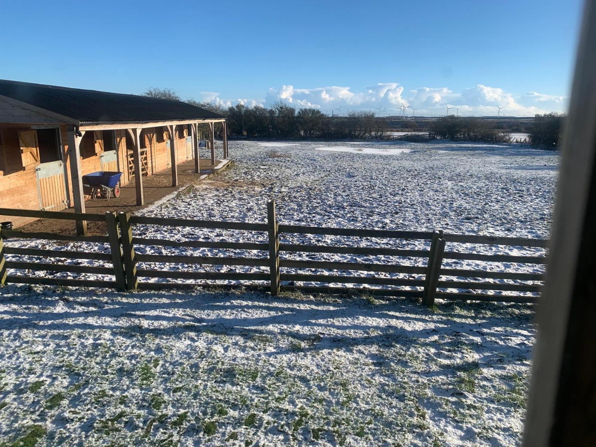 Owls Nest Log Cabin 莫珀斯 外观 照片
